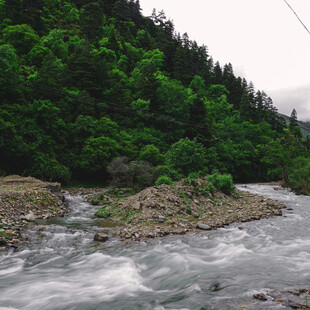山间湍急溪流与葱郁植被