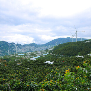 山间田园风光美景