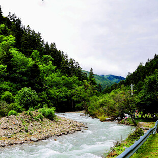 山间湍急河流与葱郁树林