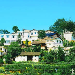乡村美丽民居与田园风光