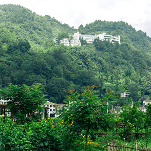 青山环绕的宁静村落