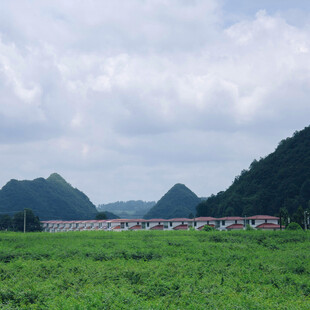 绿野青山间的乡村景致