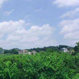 绿野之上的村落远景