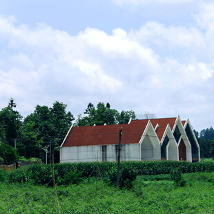 乡村田野中的红顶建筑群
