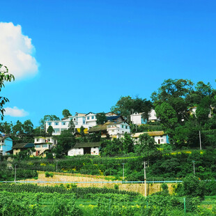 乡村田园风光美景