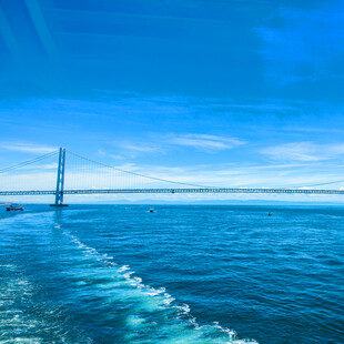 海上大桥风景