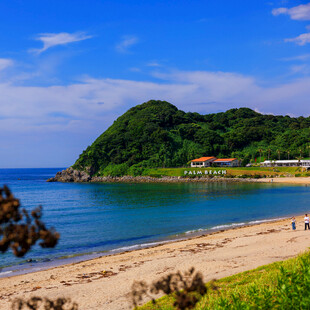美丽海滨风光