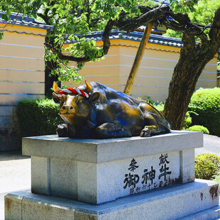 金牛雕塑