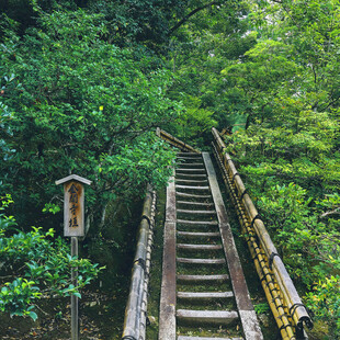 山林间的木质阶梯小道