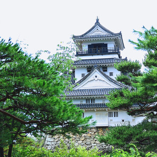 日本传统风格的塔楼建筑