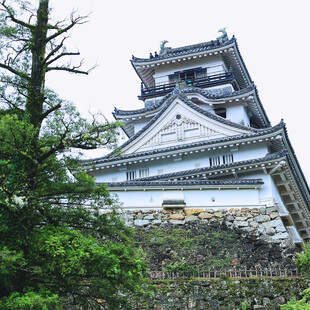 日本姬路城古建筑景观