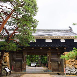 日式传统建筑大门景观