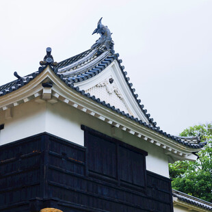 日式古建筑屋顶景观