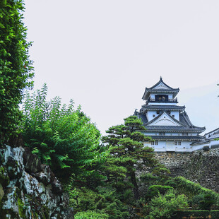 日本风格古建筑与葱郁绿植