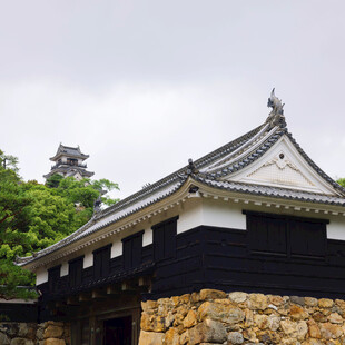 日式传统建筑屋顶景观