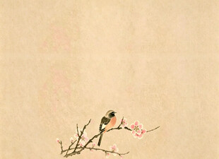 喜鹊梅花