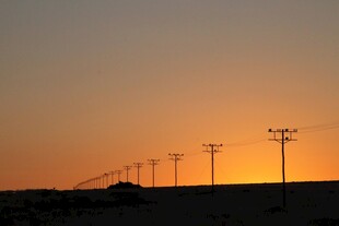 夕阳下的田野电线杆景观