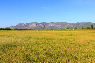 广袤田野与远处山峦美景