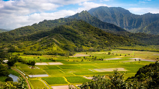 山间绿野美景
