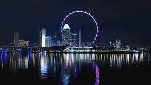 新加坡夜景中的璀璨摩天轮