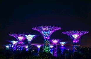 新加坡灯光树景观