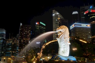 新加坡鱼尾狮夜景