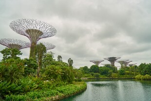 新加坡滨海湾花园景观