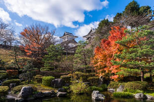 日式园林秋景