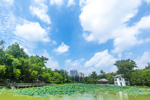 南宁狮山公园