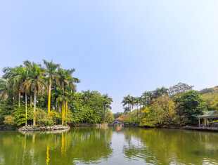 南宁青秀山天池风光