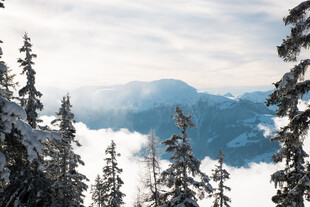 雪覆山林间的壮丽云海