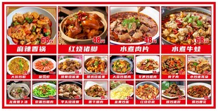多样美味中式菜肴展示
