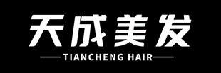 天成美发品牌标识