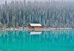 湖畔雪林小屋静谧美景