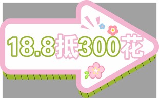 18抵300花促销手持卡