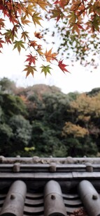 秋日屋檐外
