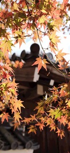 秋日屋檐