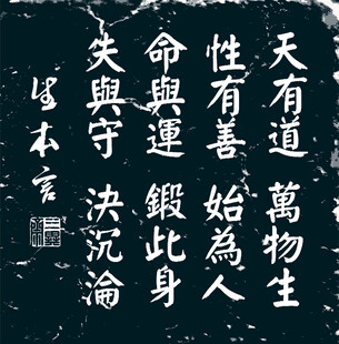 楷书 生本言 仿书法拓片设计
