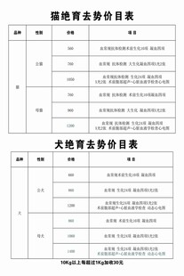 商务报价表模板