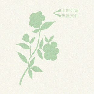 花卉插画