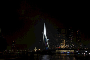 鹿特丹伊拉斯谟斯桥夜景