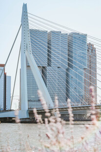 现代桥梁与高楼建筑景观