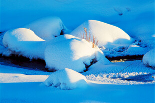 雪覆大地的冬日美景