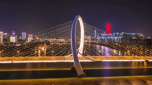 广西柳州白沙大桥夜景