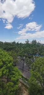 蓝天绿树