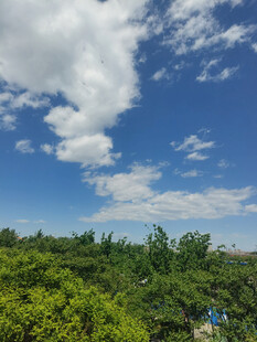 蓝天绿树