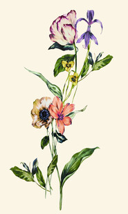 手绘多彩花卉插画