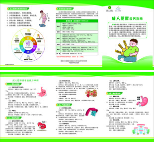 成人肥胖 食养三折页