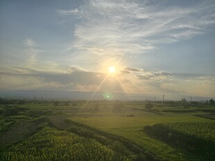 乡野落日