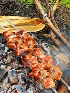户外炭火烤肉串